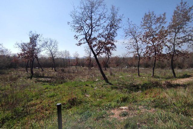 Zemljište, 1728 m2, Prodaja, Poreč - Žbandaj