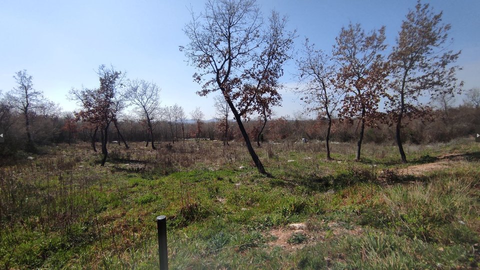 Zemljište, 1728 m2, Prodaja, Poreč - Žbandaj